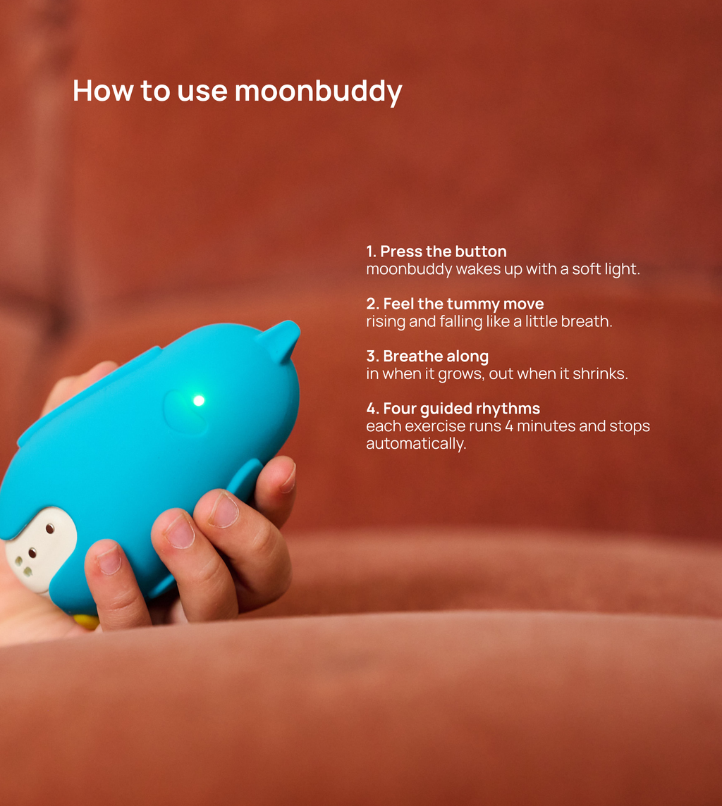 moonbuddy with Barry the bear sleeve