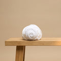 TENCEL™ Twill Fitted Sheet