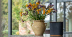 Quyet home wood