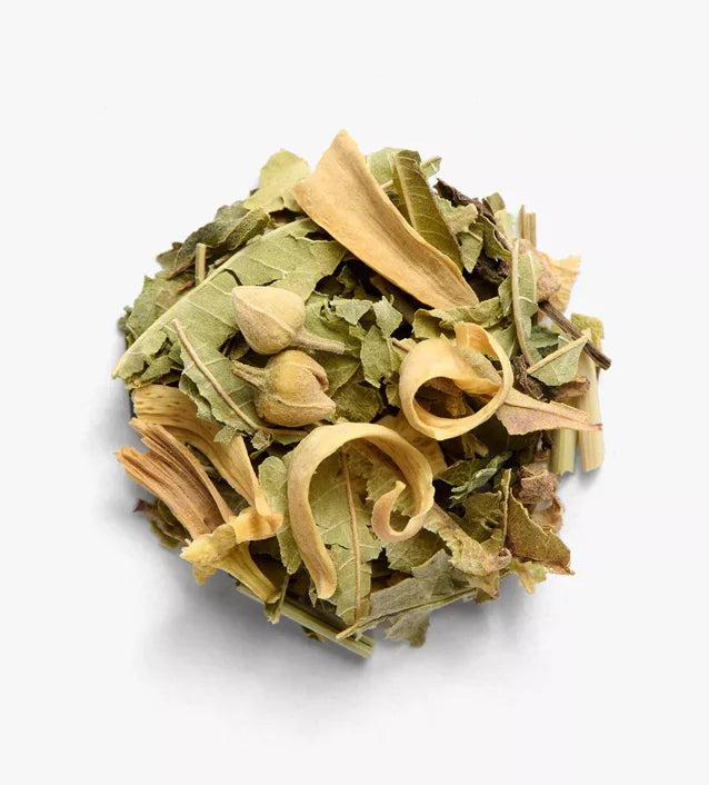Bibi mint infusion by Maison Yvonne