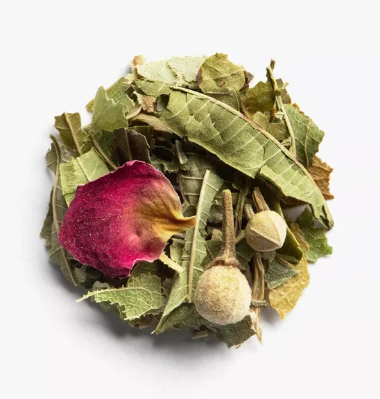 Schouke verbena infusion by Maison Yvonne